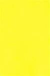  Hârtie decorativă colorată simplă Kaskad 225g Canary Yellow galben buc. 50A4