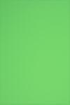  Hârtie decorativă colorată simplă Rainbow 160g R76 verde buc. 250A4