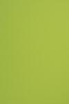 Fedrigoni Hârtie decorativă colorată simplă Sirio Color 115g Lime verde deshis buc. 50A4