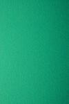 Favini Hârtie decorativă colorată texturată Prisma 220g Verde verde buc. 10A4