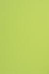 Fedrigoni Hârtie decorativă colorată simplă Sirio Color 170g Lime verde deshis buc. 20A4