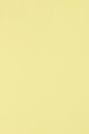  Hârtie decorativă colorată ecologică Circolor 160g Camomile galben deschis buc. 250A4