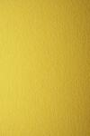 Favini Hârtie decorativă colorată texturată Prisma 220g Girasole galben 70x100 R100 1 buc