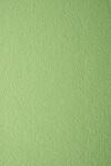 Favini Hârtie decorativă colorată texturată Prisma 220g Pistacchio verde buc. 10A4