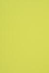 Fedrigoni Hârtie decorativă colorată ecologică Woodstock Pistacchio verde deschis 285g 70x100 R100 1 buc