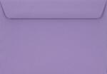 Netuno Plicuri decorative colorate C6 11, 4x16, 2 HK Burano Violet violet 90g