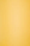 ArjoWiggins Hârtie decorativă colorată ecologică Keaykolour 300g Indian Yellow galben închis 70x100 R100 1 buc