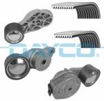 DAYCO Set curea transmisie cu caneluri DAYCO KPV425HD (KPV425HD) - automobilus
