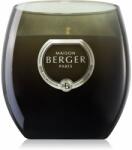 Maison Berger Paris Holly Amber Powder lumânare parfumată 200 g