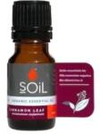 SOil Romania Ulei Esential Scortisoara (Cinnamomum zeylanicum) 100% Organic Ecocert, 10ml, Soil