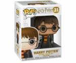 Funko POP! Harry Potter: Harry with Hedwig (031)