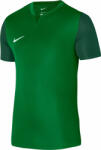 Nike Bluza Nike M NK DF TROPHY V JSY SS - Verde - S - Top4Sport - 98,00 RON