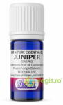 Argital Ulei Esential de Ienupar pentru Uz Extern 10ml