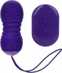CalExotics Slay ThrustMe Purple