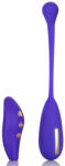 California Exotics Impulse Intimate E-Stimulator Remote Kegel Exerciser