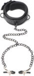 Master Series Collared Temptress Collar with Nipple Clamps