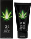 Pharmquests CBD Cannabis Delay Gel 50ml