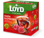 LOYD piramis HOT tea málna-bors-fahéj 40g