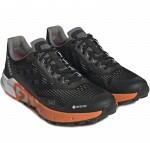 Adidas Terrex Agravic Flow 2 GTX (HR1110) Мъжки Маратонки