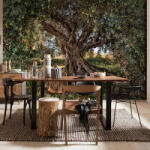 National Geographic Olive Tree fotótapéta