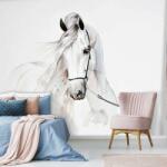 Consalnet Fehér ló mintás fotótapéta - fototapeta - 10 990 Ft