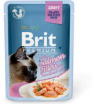 Brit Premium Sterilised salmon fillets 10x85 g