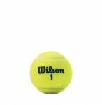 Wilson Mingi Wilson Championship x3 buc (Wrt100101)