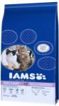 Iams ProActive Health Adult - Mature -Senior Multi-Cat Households with Salmon - Chicken 15 kg
