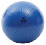 Toorx Fitness - Gym Ball Pro - Edzőtermi Minőségű Fitnesz Labda - 55 Cm