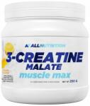 ALLNUTRITION - 3-creatine Malate Muscle Max - 250 G