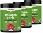 GREENFOOD Performance - Collagen Forte - Hidrolizált Kollagén Italpor C-vitaminnal és Hialuronsav - gymstore - 28 200 Ft