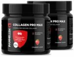 PANHELLEN - Collagen Pro Max - Marhakollagén Hialuronsavval - 2x450 G
