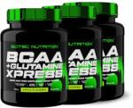 Scitec Nutrition - BCAA + GLUTAMINE XPRESS - MEGA DOSE 1: 1 RATIO - 3 x 600 G