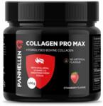 PANHELLEN - Collagen Pro Max - Marhakollagén Hialuronsavval - 450 G