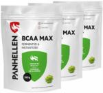 Panhellen - Bcaa Max - Bcaa 2: 1: 1 With Vitamin B6, Zinc & Chrome - 3x300 G