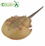 CollectA Patkórák figura - Limulus Polyphemus (88905)