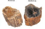  Fosil Lemn Mineral Natural Neregulat - 9-10 x 7-10 x 12-14 cm - ( XXL ) - 1 Buc