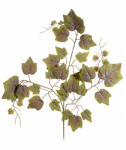 Decorer Set 12 crengute Iedera artificiala 72 cm (A54.45.44)