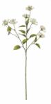 Bizzotto Set 12 flori artificiale crem Lantana 66 cm (0172165)