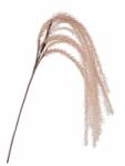 Bizzotto Set 12 flori artificiale bej Kate 45x140 cm (0170041)