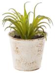 Bizzotto Planta artificiala suculenta verde in ghiveci metal alb patinat 10 cm x 10 cm x 11 h (BI0171023B)