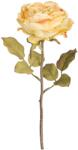 Bizzotto Trandafir englezesc crem artificial 30 h (BI0171606) - decorer