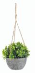 Bizzotto Planta artificiala in ghiveci Pumila 10.5x13 cm (0172524deco)