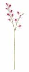 Bizzotto Set 12 Orhidea artificiala roz 92 cm (0172625) - decorer