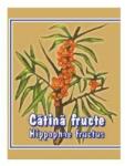 Cyani Catina fructe 100 g