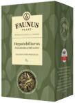 Faunus Plant Hepatobiliarus 90 g