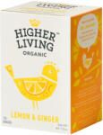 Higher Living Lamaie si ghimbir eco 15 plicuri