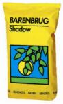 BARENBRUG Seminte Gazon Shadow(25%FRC+40%FRR+10%PP+FT 15%) BARENBRUG 1 kg (HCTS00290)