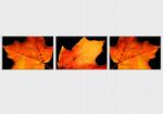  Set tablou fosforescent Frunze de toamna 90 cm x 60 cm