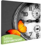  Tablou fosforescent Fluture 80 cm x 80 cm